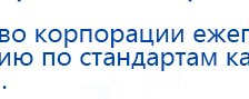 Пояс электрод купить в Южно-сахалинске, Выносные электроды купить в Южно-сахалинске, Официальный сайт Дэнас kupit-denas.ru